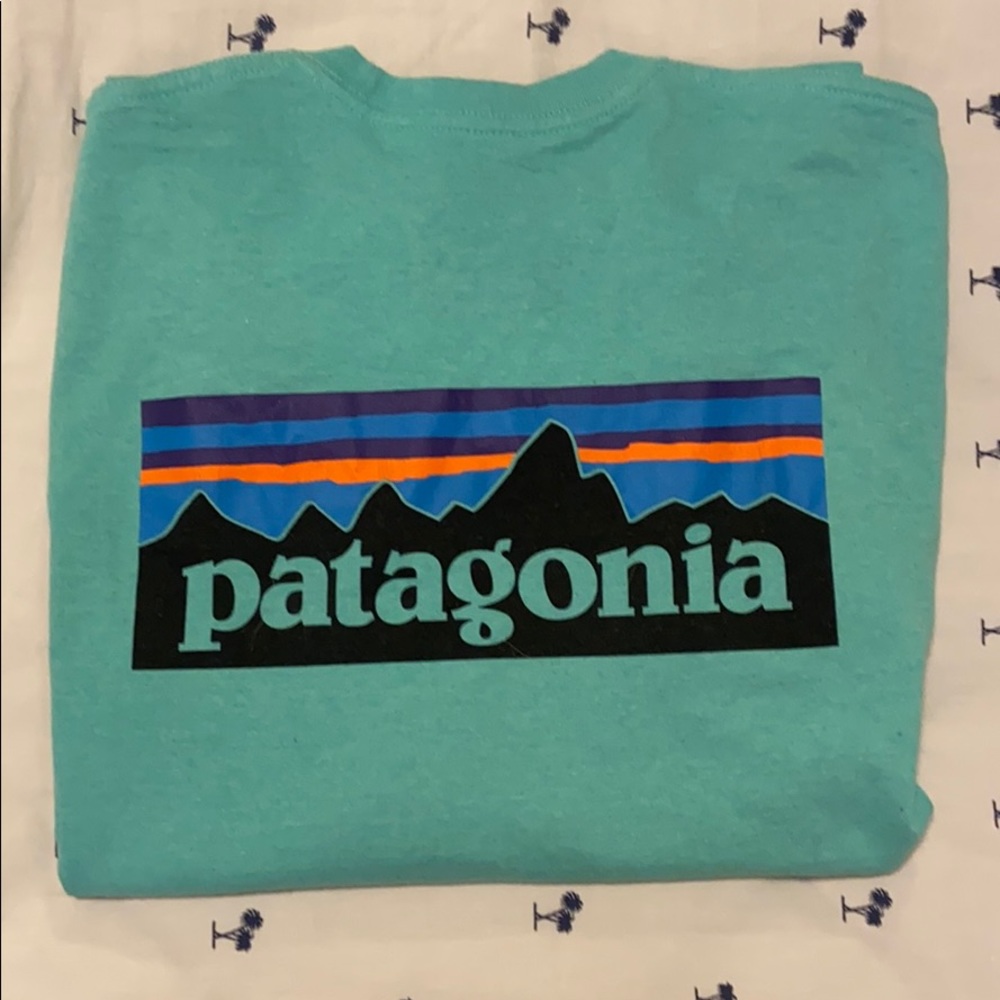Patagonia XS Long Sleeve T-Shirt